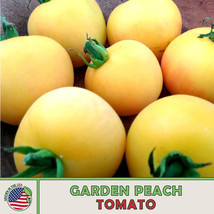 10  Peach Tomato Seeds Openpollinated Fast Ship USA Seller  - $4.98