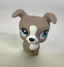 Littlest Pet Shop LPS 1463 Jack Russel Terrier Boxer Gray Figure Toy Hasbro - $9.90