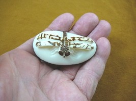 (TNE-DRA-373A) Dragonfly insect TAGUA NUT palm nuts figurine carving dra... - $20.33