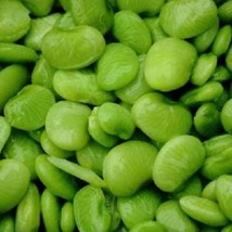 BPA 20 Seeds Fordhook Lima Bean Phaseolus Lunatus Bush Bean VegetableFrom USA - $9.90