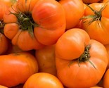 KKG Amana Orange Tomato X Large 30 Seeds 100% Organic Fresh Garden - $7.89