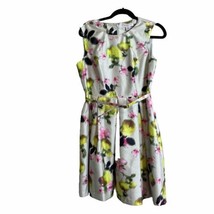 Liz Claiborne Sz 12P Gray Pink Multi Floral Sleeveless Fit &amp; Flare Lined Dress - £12.07 GBP