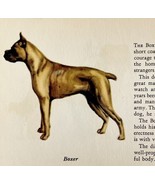 Boxer 1939 Working Dog Breed Art Ole Larsen Color Plate Print Antique PC... - $40.99 CAD