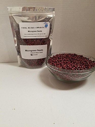 COOL BEANS n SPROUTS" Brand, Adzuki Bean Seeds for Sprouting Microgreens ,1 pou