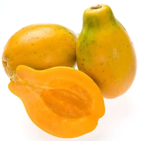 So Sweet Hawaii Yellow Papaya 60 Seeds Fresh Garden - £18.10 GBP