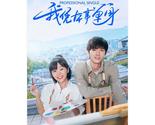 Professional Single (2020) Chinese Drama - $68.00