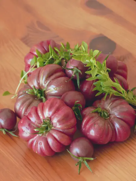 40 Purple Calabash Tomato Solanum Lycopersicum Indeterminate Heirloom Seeds Fres - £7.08 GBP