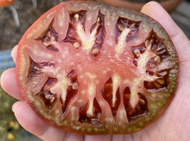 SEED-TOMATO Heirloom Black Krim Large Fruited Tomato with Reddish Purple Skin - £2.70 GBP+