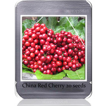 Chinese Red Sweet Cherry Fruit Seeds 20 Seeds Tasty Juicy Cherry Tree Ts214T Gar - $10.89