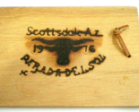 PARADA DEL SOL Scottsdale Arizona COWBOY RODEO Rare JC&#39;s Booster 1976 WO... - £15.04 GBP