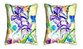 Pair of Betsy Drake Two Irises Large Pillows 16 Inch X 20 Inch - £70.10 GBP