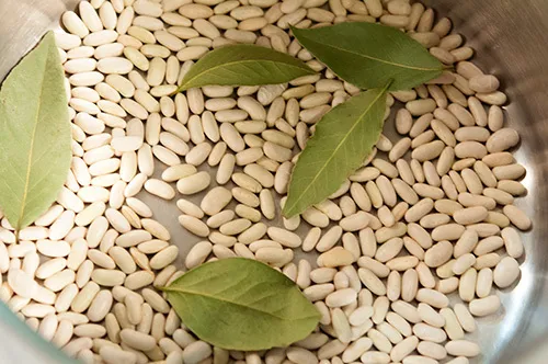 30 Cannellini Bean Seeds White Italian Kidney Phaseolus Vulgaris Vegetab... - $10.00