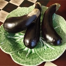 Orient Express Eggplant Seeds Garden Fast Shipping - $9.70