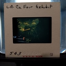 1960 LA County Fair Exhibit California Found Kodachrome Slide Photo Original - £15.68 GBP