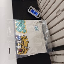 Vtg University Of Kentucky 1996 NCAA National Champions Graphic T-Shirt Men's XL image 9