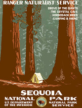 Sequoia National Park - 1930&#39;s - Travel Advertising Poster - $32.99