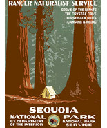 Sequoia National Park - 1930&#39;s - Travel Advertising Poster - £26.37 GBP