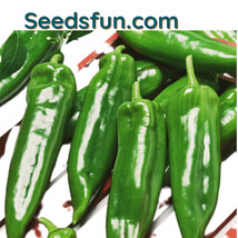 BStore 45 Anaheim Chili Pepper Seeds Hot For Roasting And Smoking - $8.59