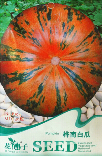 30 Seeds Edible Large Orange Pumpkin With Green Stripe Seeds - $4.99