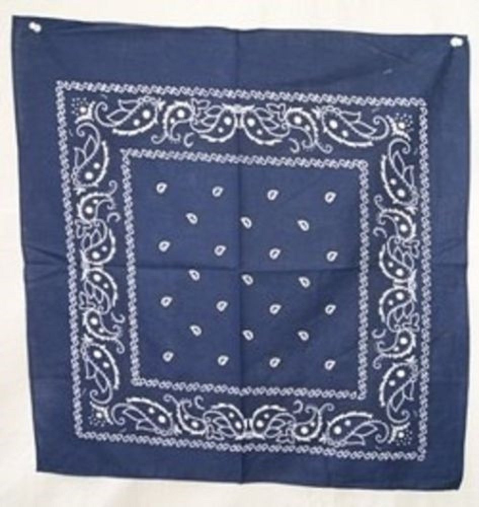 Wholesale Lot 3 22&quot;x22&quot; Paisley Light Navy Blue Bandana - $4.44