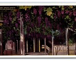 Grape Arbor in California CA UNP WB Postcard H23 - $2.92