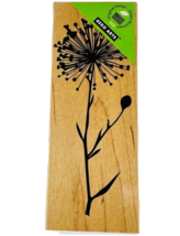 Hero Arts Silhouette Burst Dandelion Cotton Seeds Rubber Stamp H5312 - $9.99