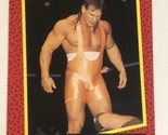 Steiner Brothers WCW Trading Card World Championship Wrestling 1991 #108 - $1.97