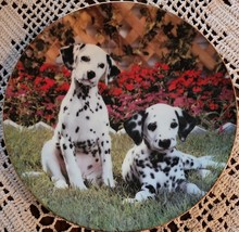 Hamilton Collection ~ Delightful Dalmatians Ceramic Plate ~ 0701A ~ Swee... - $26.18