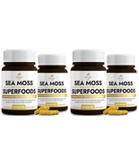 4 NATIVE OASIS (2-Pack) Sea Moss Black Seed Oil Ashwagandha Ginger Capsules - $95.86 CAD
