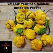 Easy to Grow 15 Yellow Trinidad Moruga Scorpion Pepper Seeds - £3.55 GBP