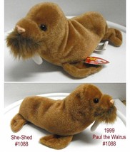 Beanie Babies PAUL the Walrus RARE with tag  ERRORS 4248 Vintage 1999 Ty - £19.88 GBP