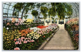 Conservatory Interior Lincoln Park Chicago Illinois IL UNP DB Postcard Y6 - £2.35 GBP