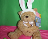 American Greetings Soft Touch Brown Bear With Rabbit Ears Stuffed Animal... - $19.79