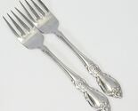 Oneida Plantation Salad Forks Community 6-3/4" Stainless Lot of 2 - $13.71