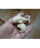 TNE-SHA-108-D) baby white Megamouth Shark TAGUA NUT palm figurine carvin... - £17.90 GBP