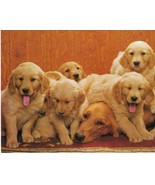 Never Framed 1991 8 x 10 Wall Art Print and Decor - Advanced Graphic Mom... - $8.20 CAD