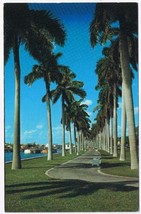 Florida Postcard Palm Beach Lake Trail Palm Beach Yacht Basin - $2.11