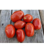 SEEDS-Roma Tomato Seeds- Perfect for the Gourmet Chef- Sauce, Paste &amp; Amore - €3,78 EUR+