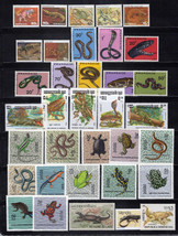 Reptiles Collection MNH Amphibians Frogs Snakes Lizards ZAYIX 0324M0094 - $28.00