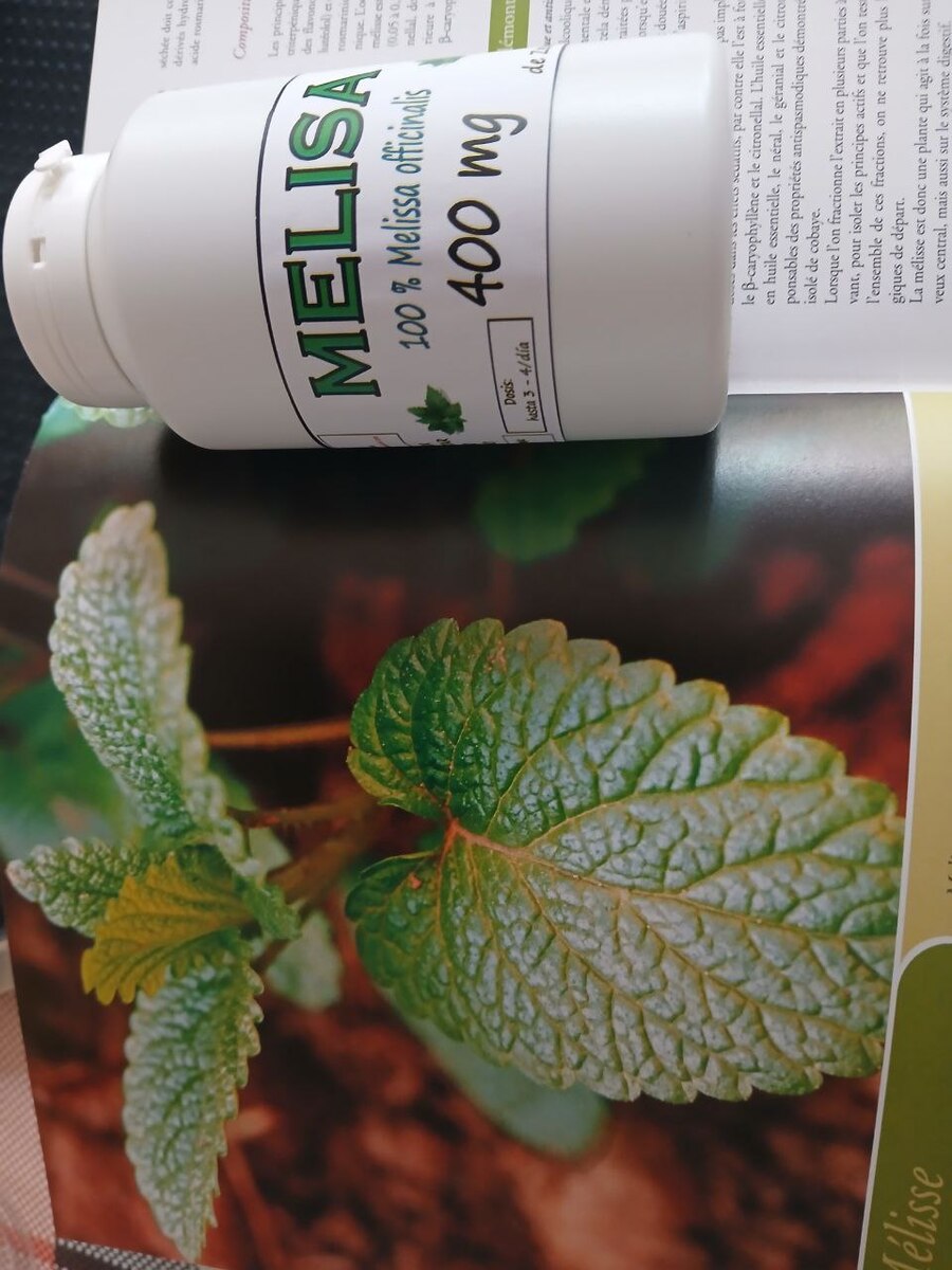 10 Bottles, Lemon Balm Capsules 400mg: Vegan Herbal Supplement, Relaxation - 120 Item image 11