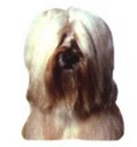 Car Window TIBETAN TERRIER Dog Breed Decal 2-sided...Reduced Price - $3.45