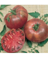 VC 30 Seeds Cherokee Purple Tomato Seeds, Heirloom, Nongmo Fast Shipping US - $7.99