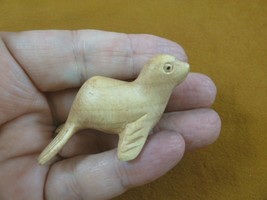 (Q210-1) small baby Seal sea lion Satinwood WOOD carving wooden FIGURINE... - $10.62