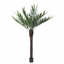 UV Kentia X9 Palm with 252 Leaves - 72 in. - £271.48 GBP