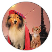 Collie and Cat : Gift Coaster Pet Animal Puppy Dog Funny Cute Paris Kitten - £3.97 GBP