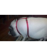 Adjustable Hog  (PIG) Harness With Matching leash Hand Made Metal Buckle USA - £20.50 GBP - £27.10 GBP