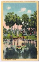 Postcard McKee Jungle Gardens Vero Beach Florida - £2.36 GBP