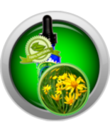 ARNICAmfort™ Arnica Flower Tincture (Alcohol Extract, High Concentration... - $374.55 MXN+
