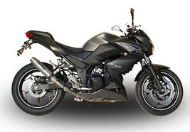 Kawasaki Z300 2014-2017 Exhaust GPR Slip-on Deeptone Inox - $248.40