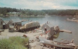 Typical Maine Fishing Village Lobster Traps Buoys Fishing Gear ME Postca... - $2.96